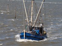 Fischkutter vor Norddeich
