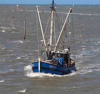 Fischkutter vor Norddeich
