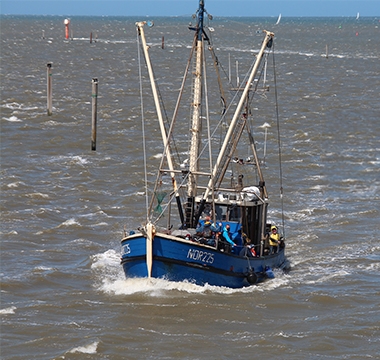 Fischkutter vor Norddeich