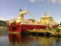 Einflaggung Fisch-Trawler-Neubauten DFFU