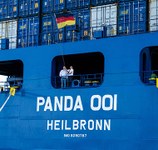 Panda 001 - Bordwand © Tailwind Shipping Lines