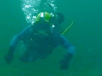 In-Water-Survey