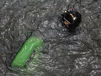 Taucher_Unterwasserreinigung_LimnoMar.JPG