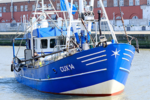 Hoffnung bei Krabbenfischern: Doch kein pauschales Verbot von Grundschleppnetzen?