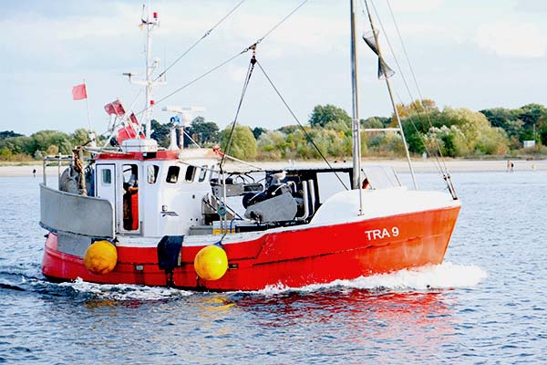 Weiterhin nur geringe Fangquoten für Ostseefischer