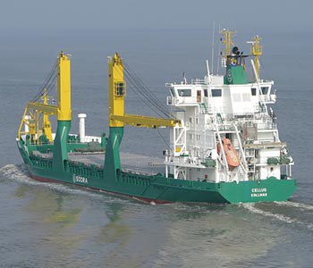 MS Cellus (groß)