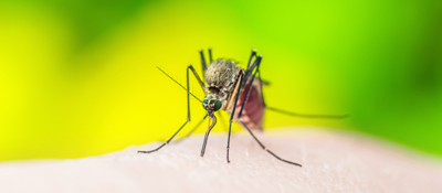 Malaria Infoveranstaltung 175x400 © Fotolia.com/nechaevkon