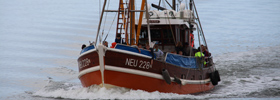 Fishing vessels