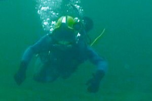 In-Water Survey