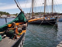 Financial support of traditional ships