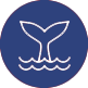 umweltschutz icon blau